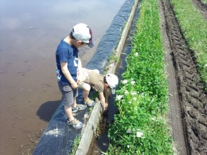 IMG_20140503_100946438_R