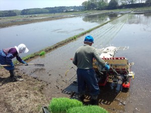 IMG_20140503_104550170_R