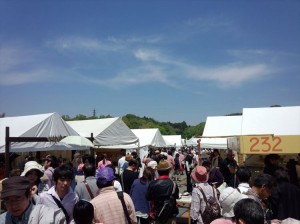 IMG_20140504_105108219_R