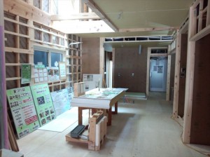 IMG_20140531_101839904_R