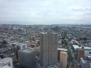 IMG_20140630_133542387_R