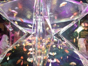 2014-07-27 18.04.09_R