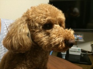 2014-08-13 00.45.46-2_R