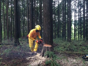 2015-09-27 12.00.15_R