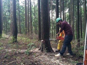 2015-09-27 12.03.57_R