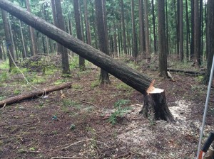 2015-09-27 12.10.52_R