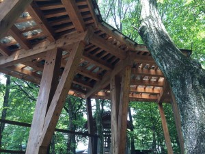 2016-07-21 12.33.30_R