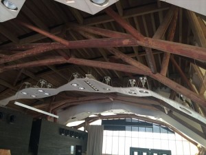 2016-07-21 12.37.29_R