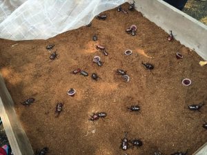 2016-08-06 13.53.37_R