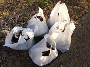 2016-11-12-15-28-46_r