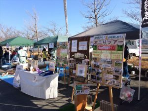 2017-01-29 10.02.39_R