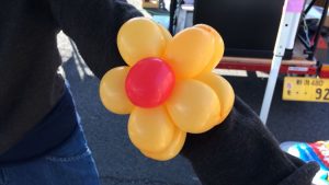 2017-01-29 10.25.50_R