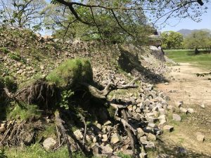 2017-04-19 10.24.26_R