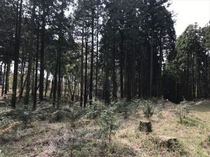 2017-04-22 09.56.02_R