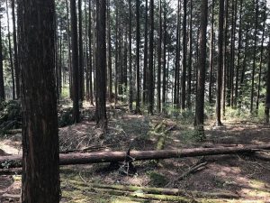 2017-04-22 10.17.22_R