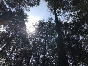 2017-04-22 10.17.32_R