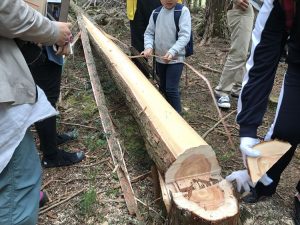 2017-04-22 10.52.28_R