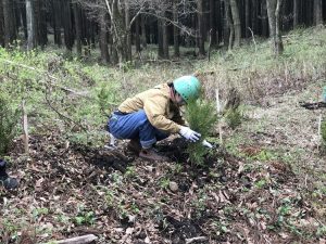 2017-04-22 11.49.54_R