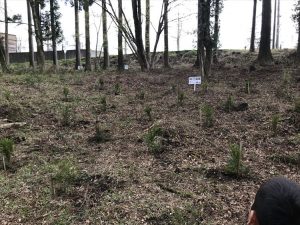 2017-04-22 12.54.20_R