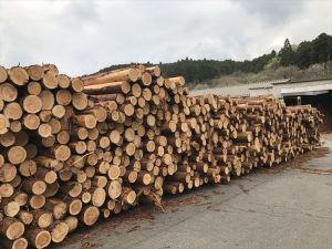 2017-04-22 13.50.52_R